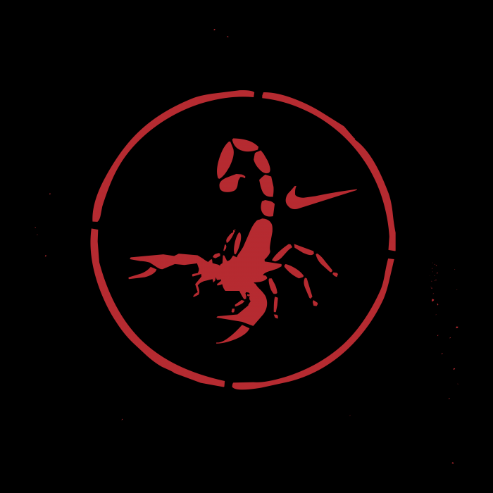 Nike logo football