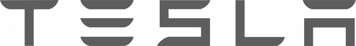 Tesla logo silver