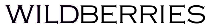 Wildberries.ru logo
