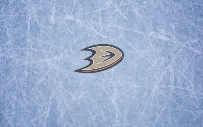 Anaheim Ducks wallpaper with logo on it, widescreen 1920x1200, 16x10