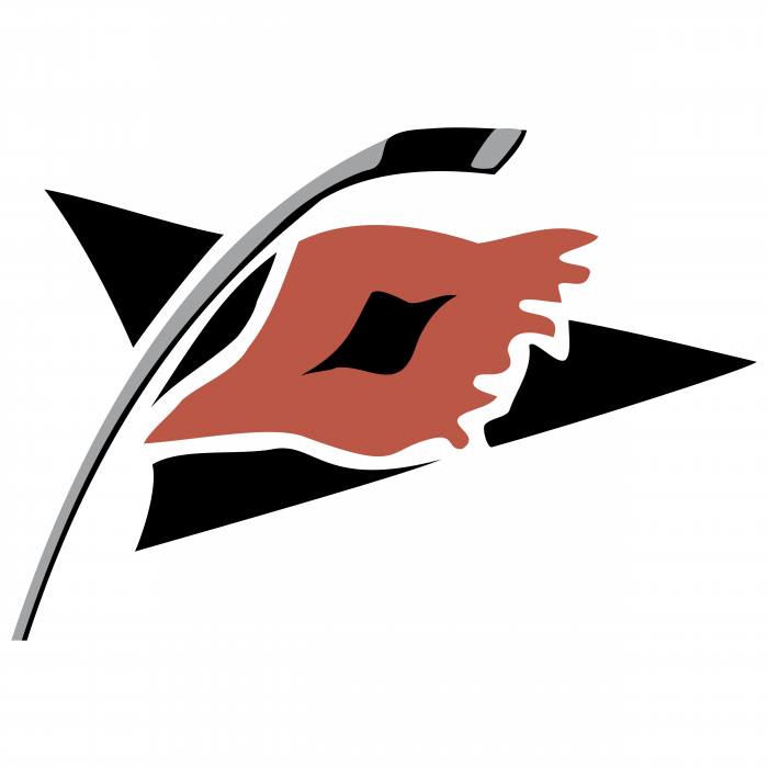 Carolina Hurricanes logo colored