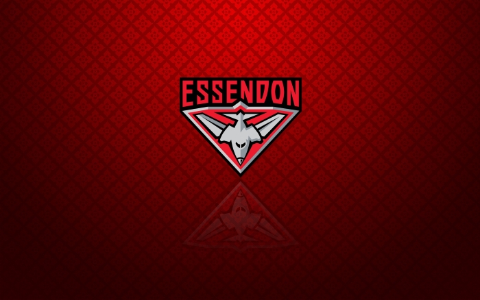 Essendon Bombers wallpaper, background with logo - 1920x1200px