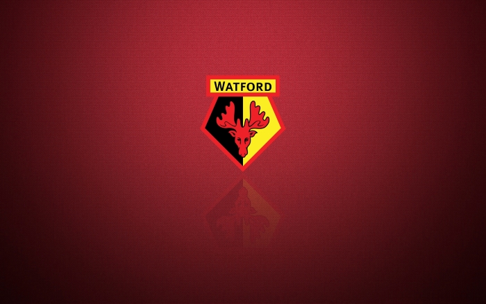 Watford FC wallpaper, background 1920x1200