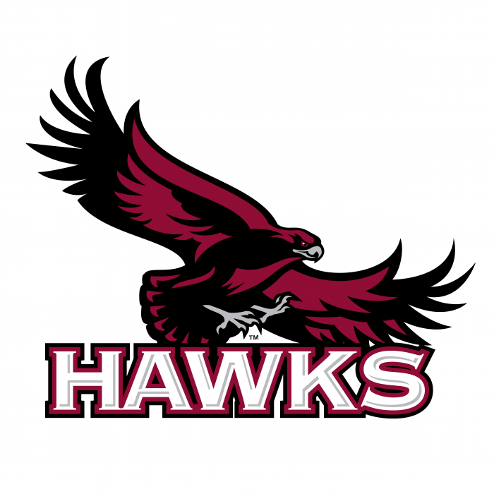 SJSN Hawks logo