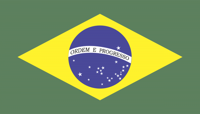 Bandeira do Brasil logo