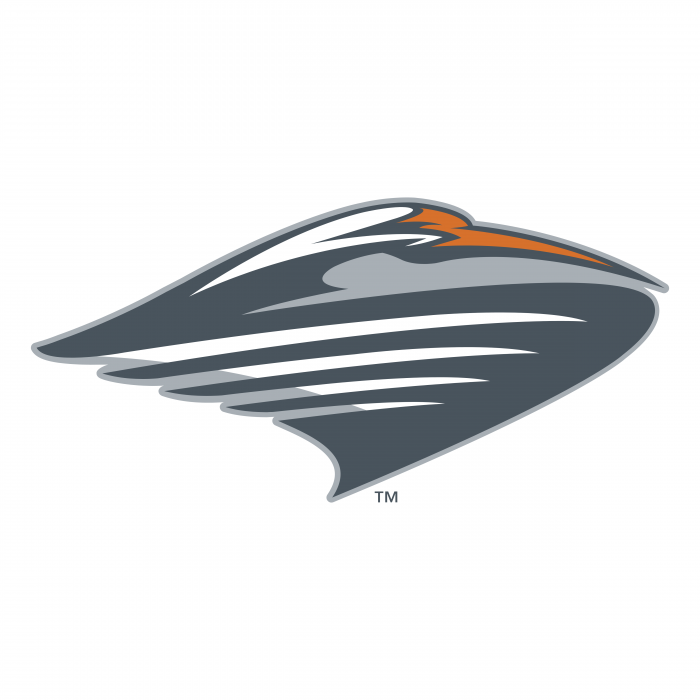 Miami Hurricanes logo TM