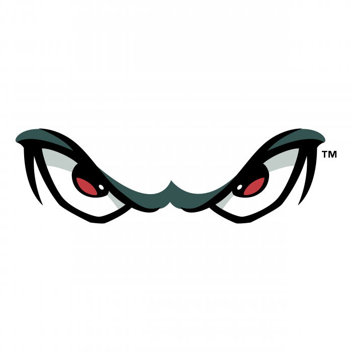 Lake Elsinore Storm logo eyes