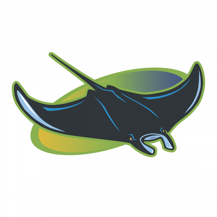 Tampa Bay Devil Rays logo oval