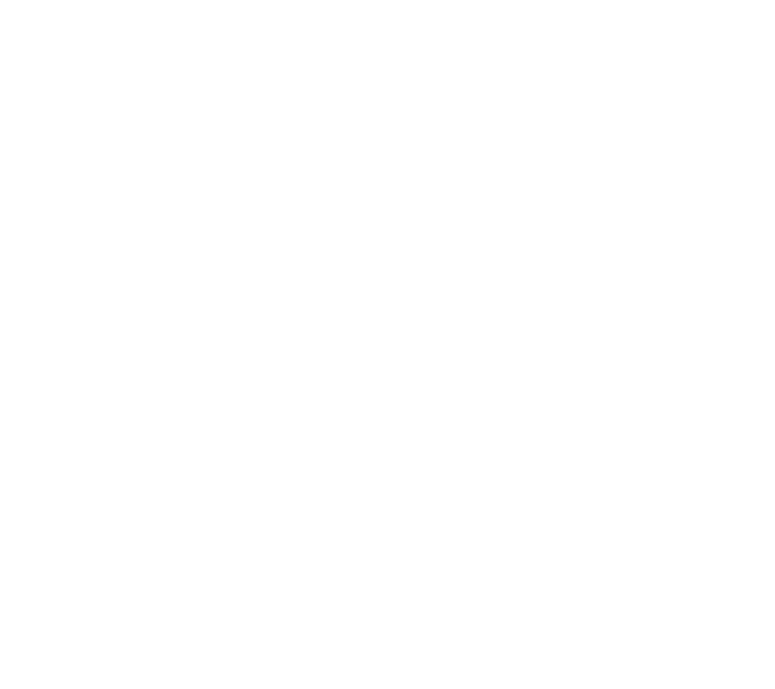 Nimiq Logo white