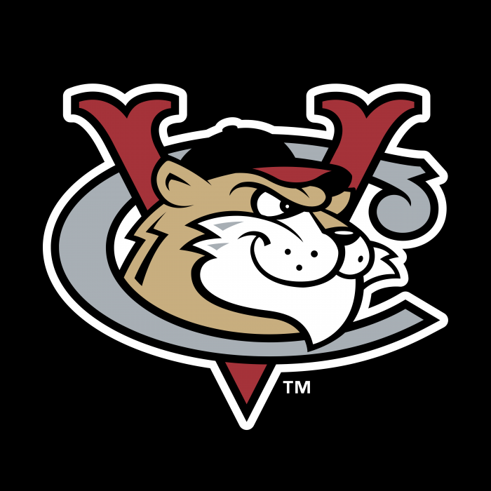 Tri City Valleycats logo cube