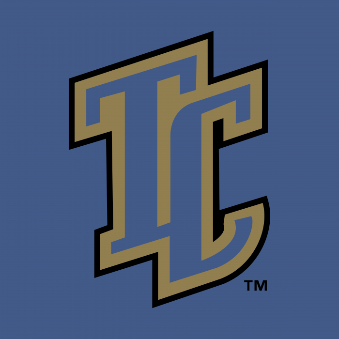 Tri City Dust Devils logo cube