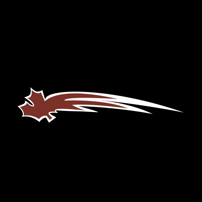 Vancouver Giants logo cube