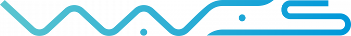 Waves logo coin
