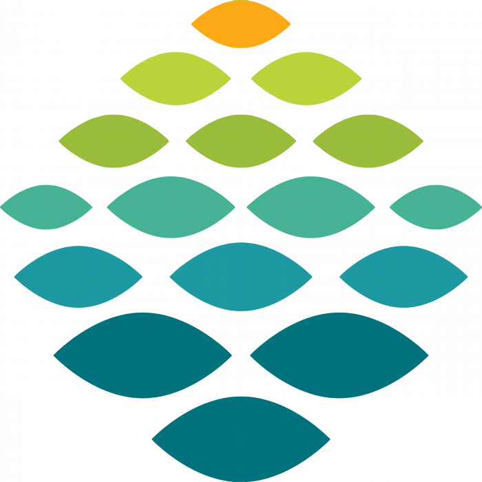 Northern Light Health Logo