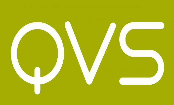 Quality Value Style Logo