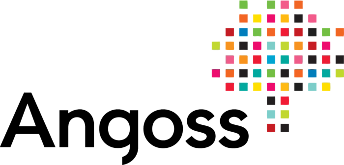 Angoss Software Corporation Logo