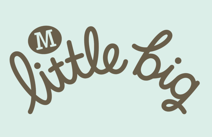 Morrisons Little Big Logo