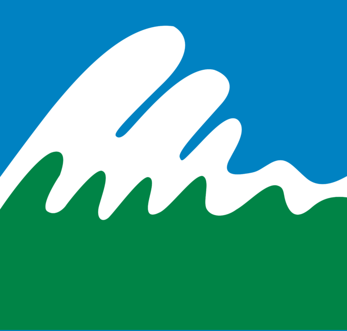 Paos Holdings Logo