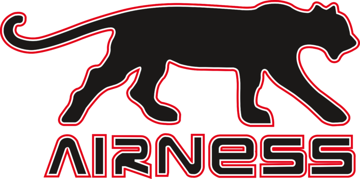 Airness Logo