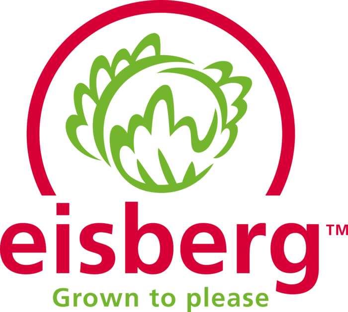 Eisberg Logo old