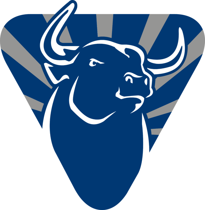 Market Rampage Logo