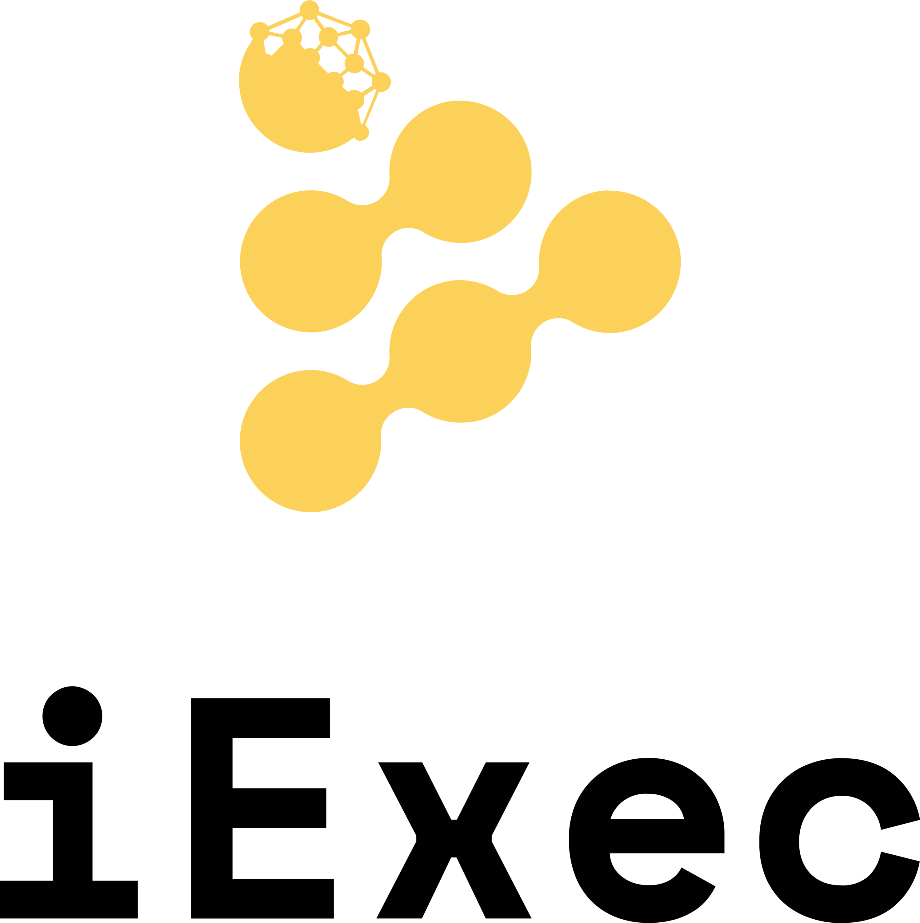 IExec RLC Logo black text