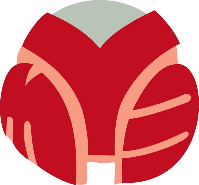 MuzTV Logo old