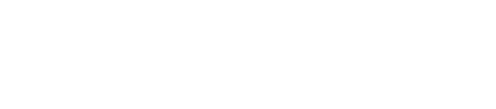 Wikinight Logo white horizontally 2