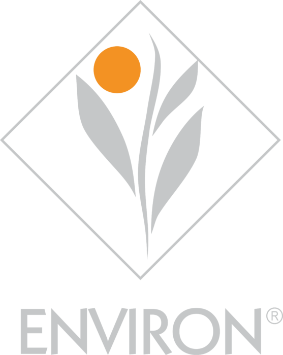 Environ Logo