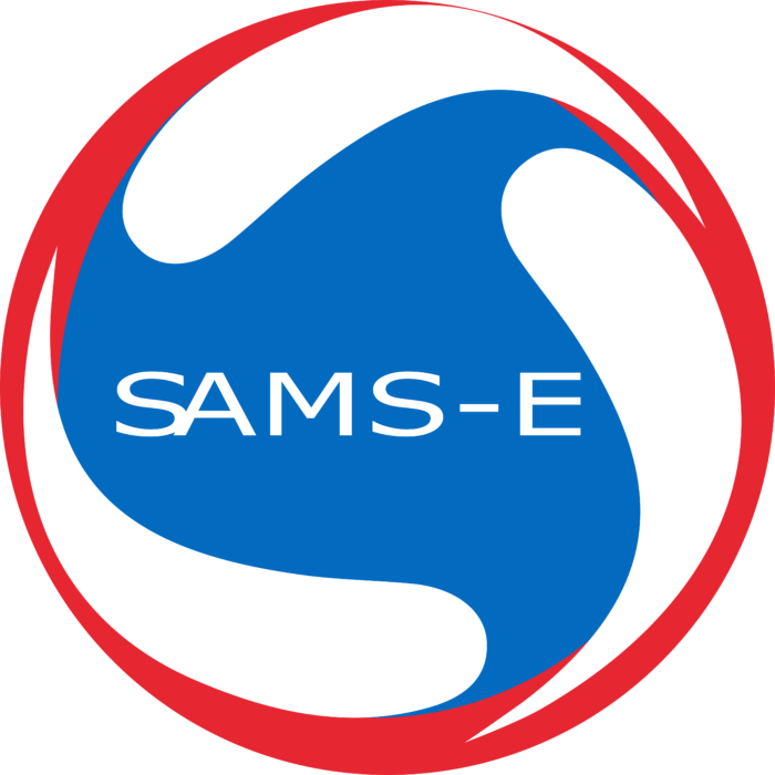Standard Army Maintenance System Enhanced Logo