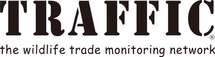 Traffic International Logo