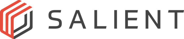 Salient Systems Logo