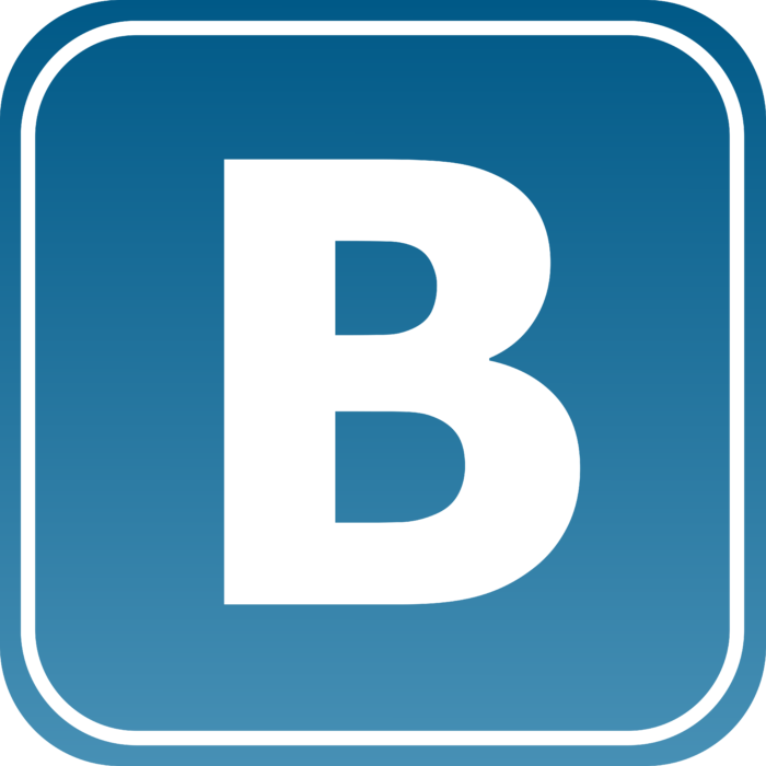 Vkontakte icon Logo 2006