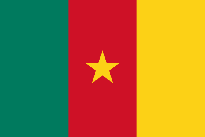 Flag of Cameroon
