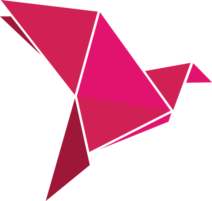 BKash Logo icon