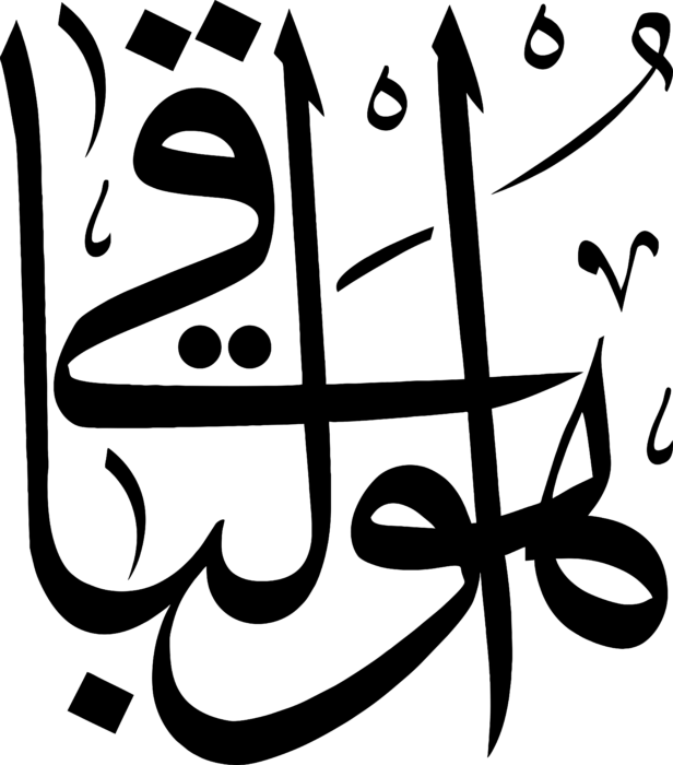 Hüvel Baki Logo