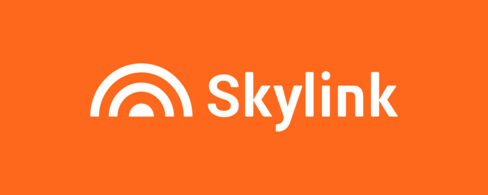 Skylink Logo