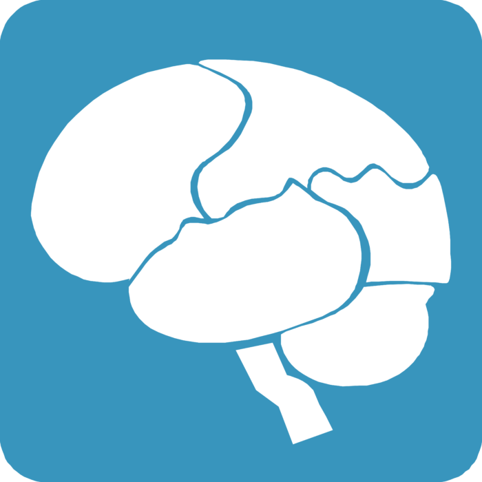 Gbrainy Logo