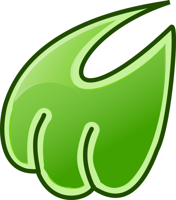 Midori Logo