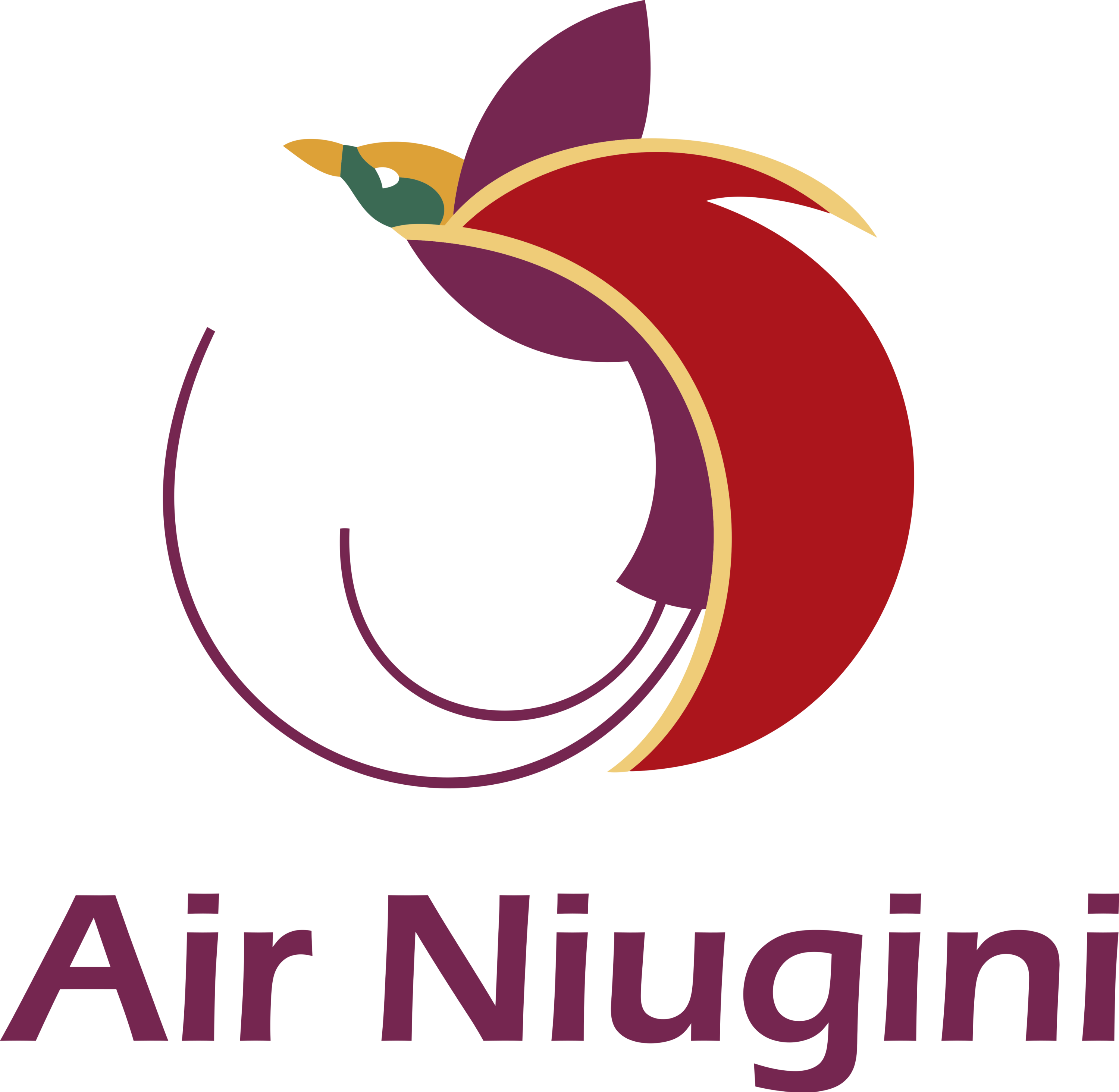 Air Niugini Logo
