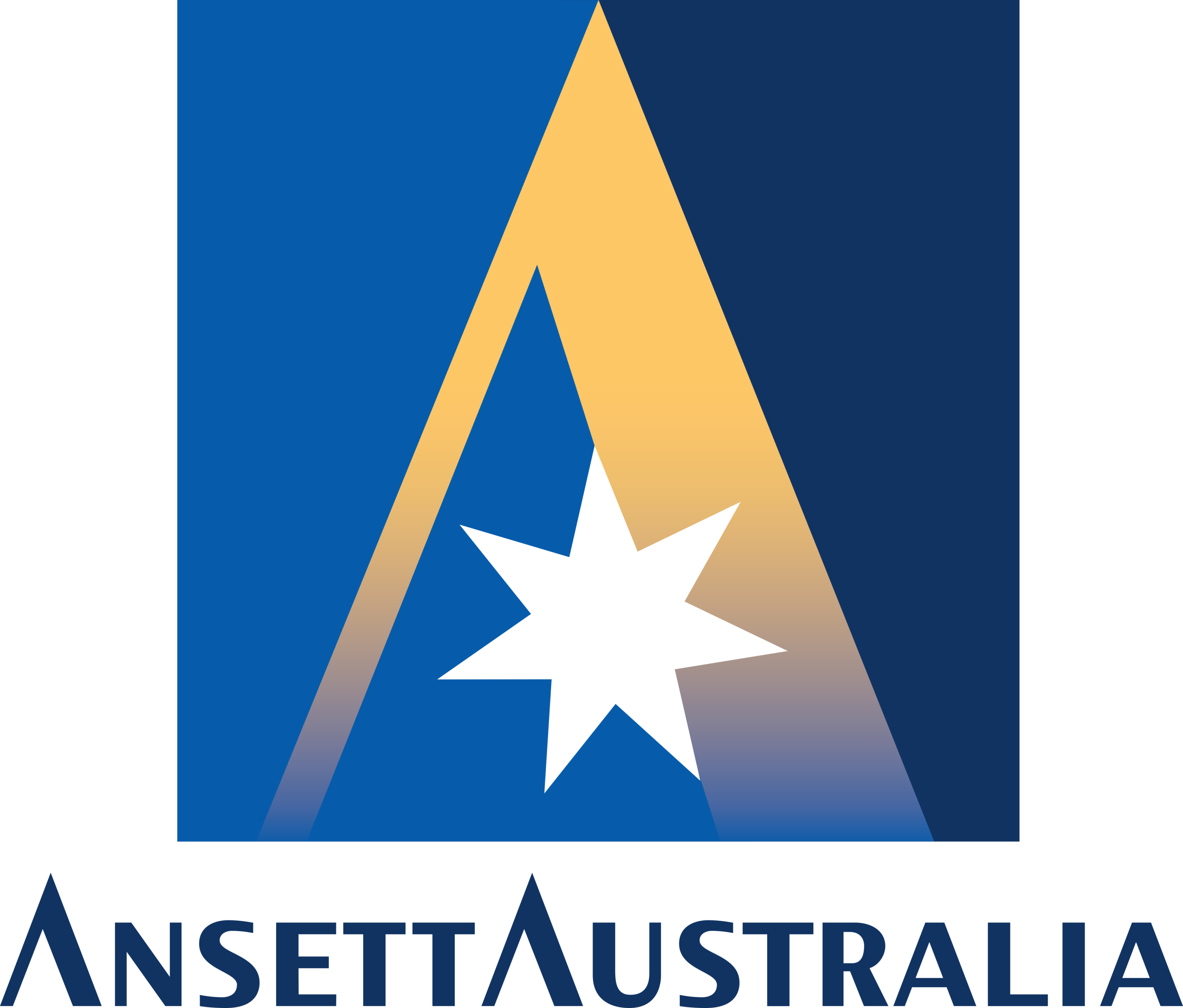 Ansett Australia Logo