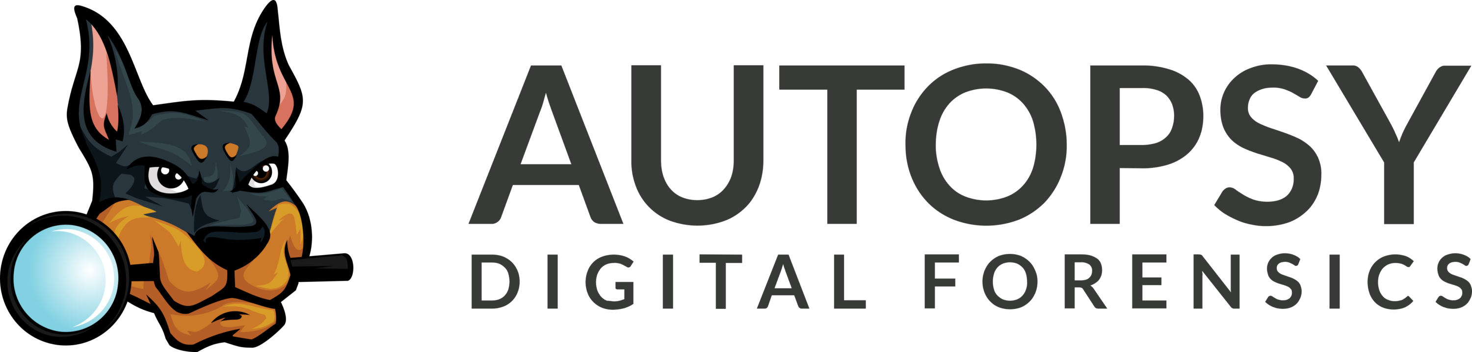 Autopsy Digital Forensics Logo