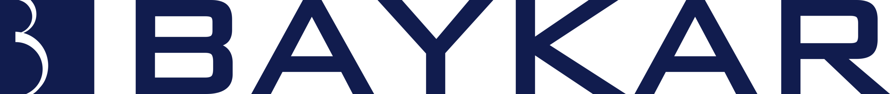 Baykar Savunma Logo