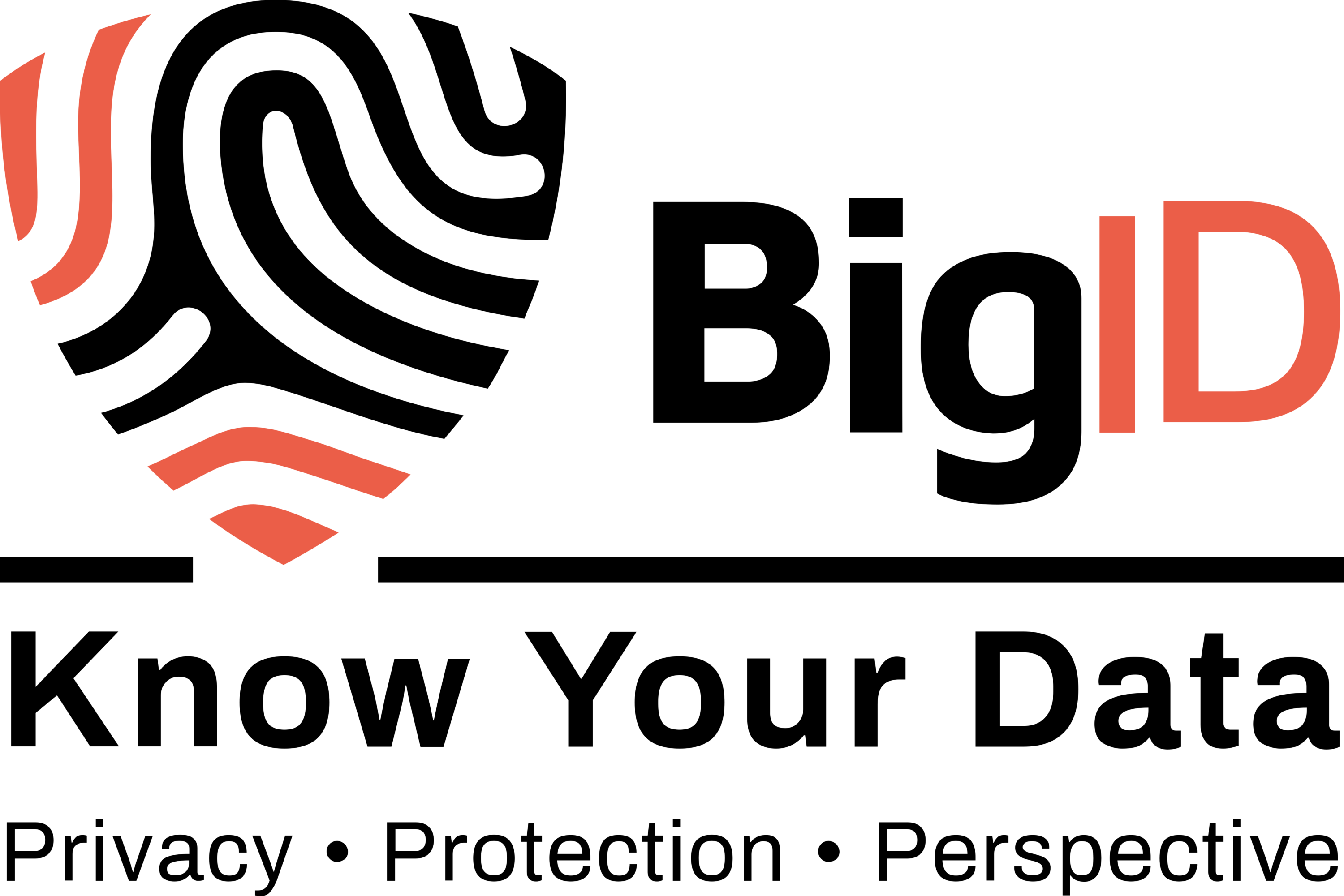 BigID Logo