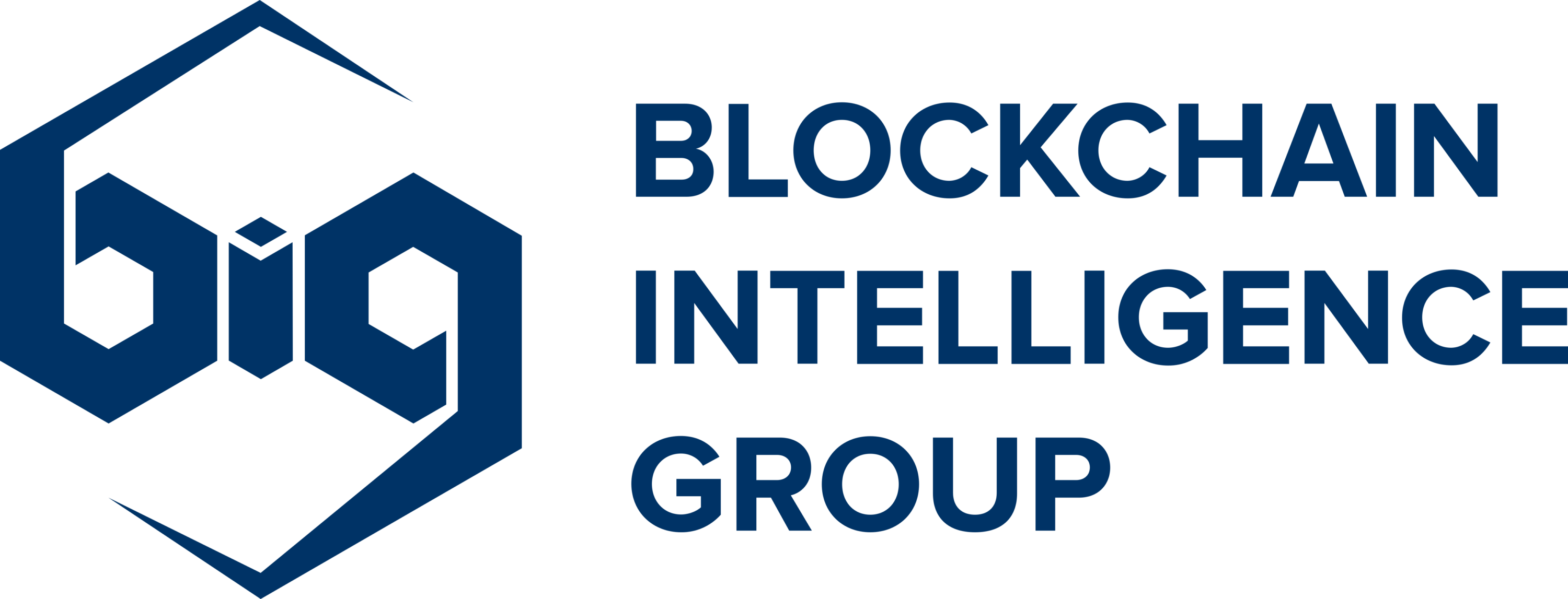 Big Blockchain Intelligence Group Logo