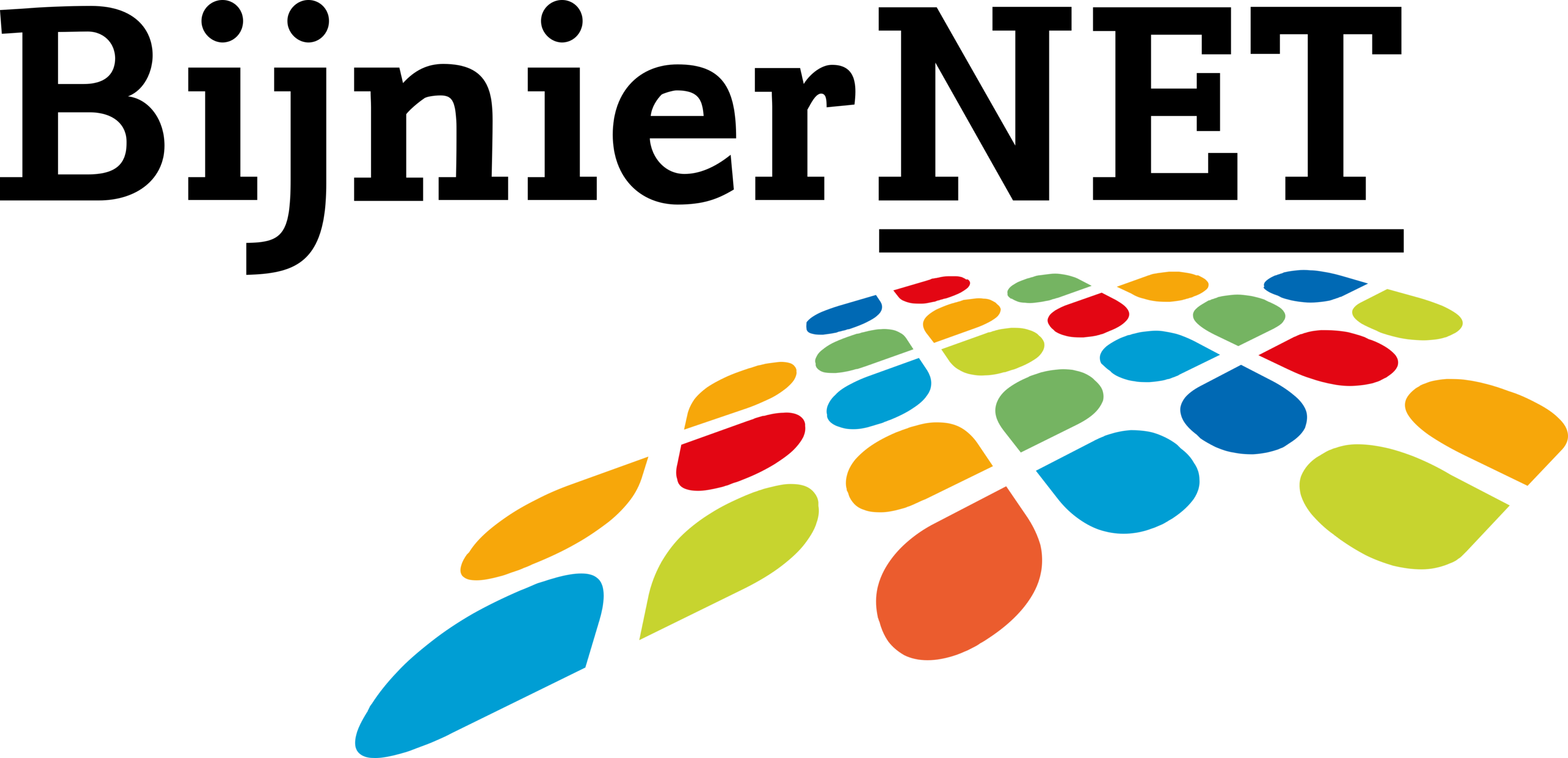 BijnierNET Logo
