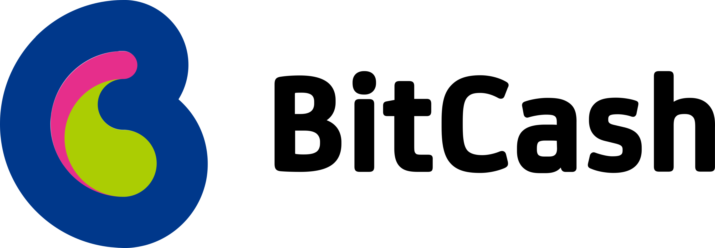 Bitcash Logo