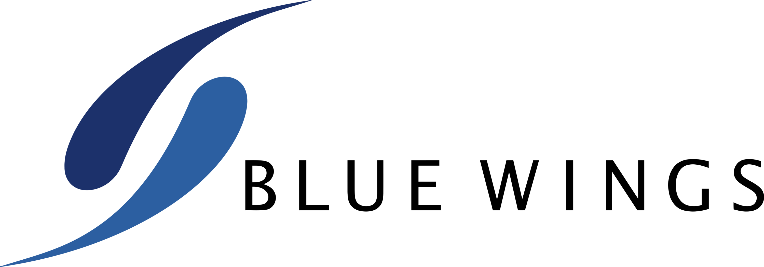 Blue Wings Logo