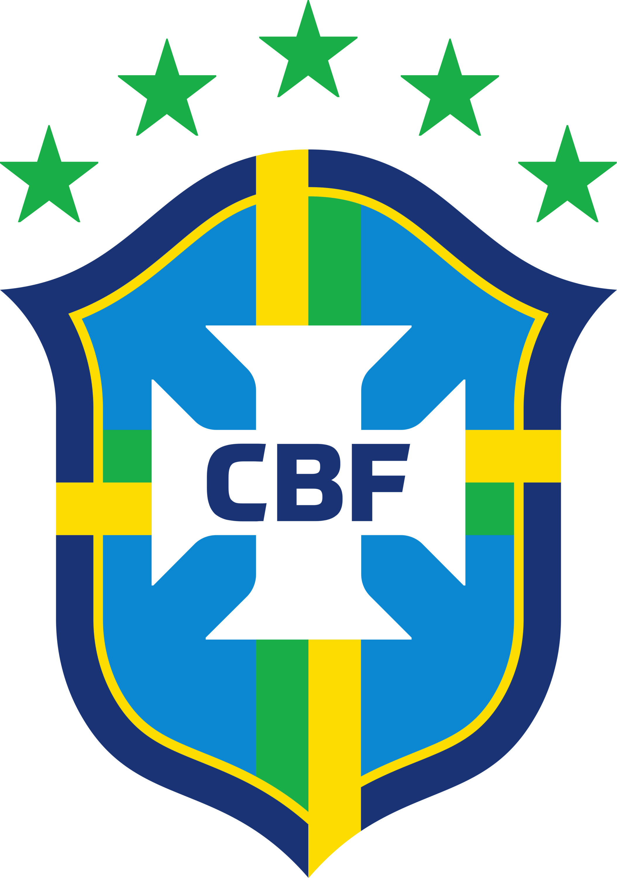 Brazil National Football Team Logo