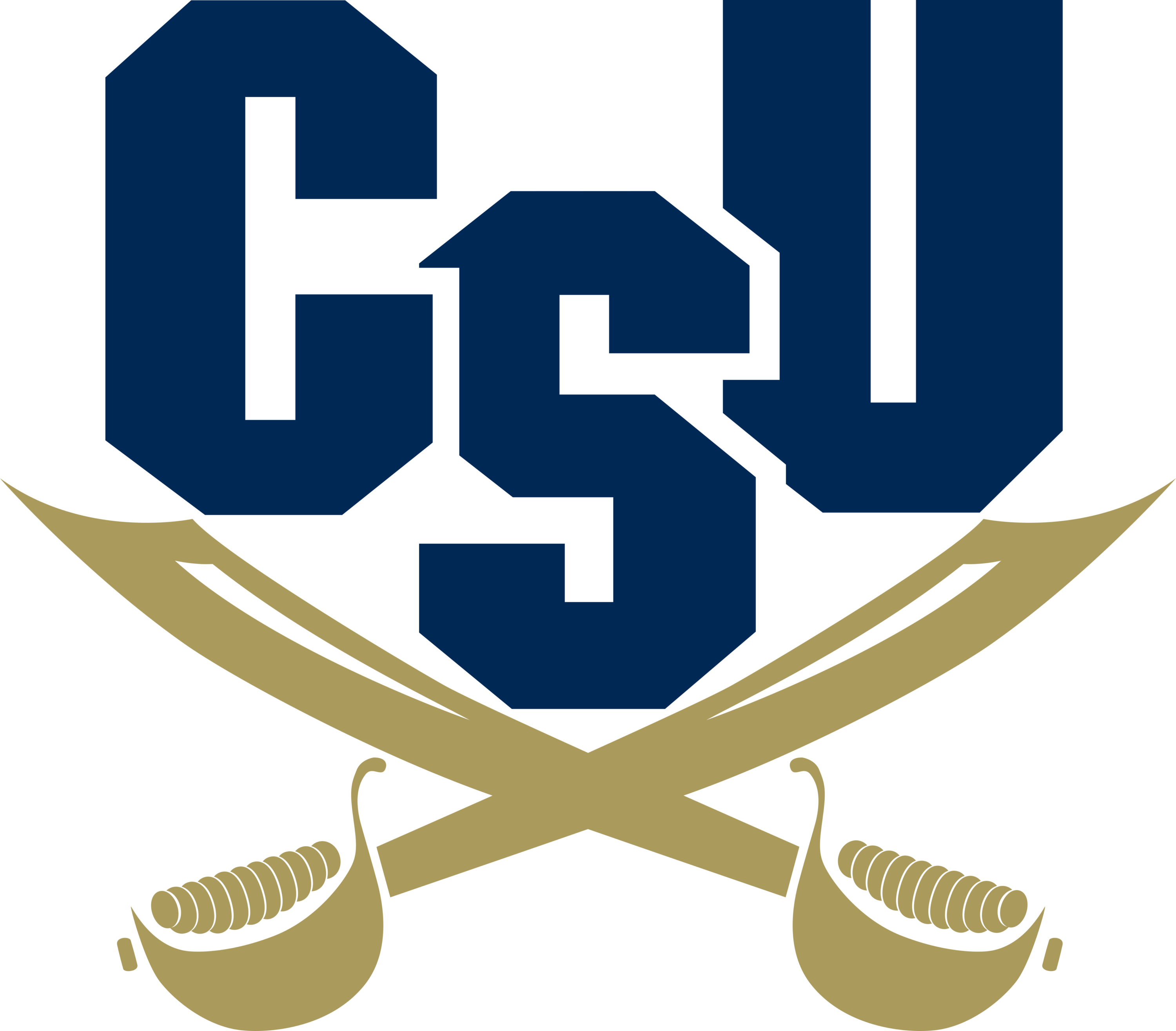 Charleston Southern Buccaneers Logo